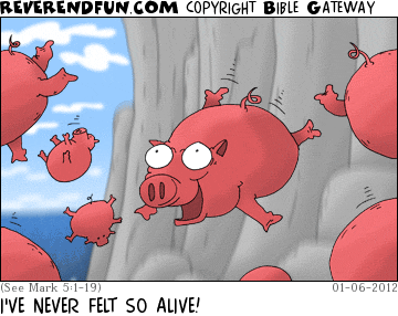 DESCRIPTION: Pig falling from a cliff CAPTION: I'VE NEVER FELT SO ALIVE!